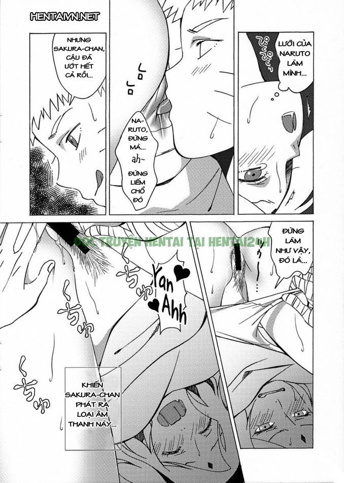 Xem ảnh 8 trong truyện hentai Thông Tin Bí Mật Naruto x Sakura - One Shot - truyenhentai18.pro