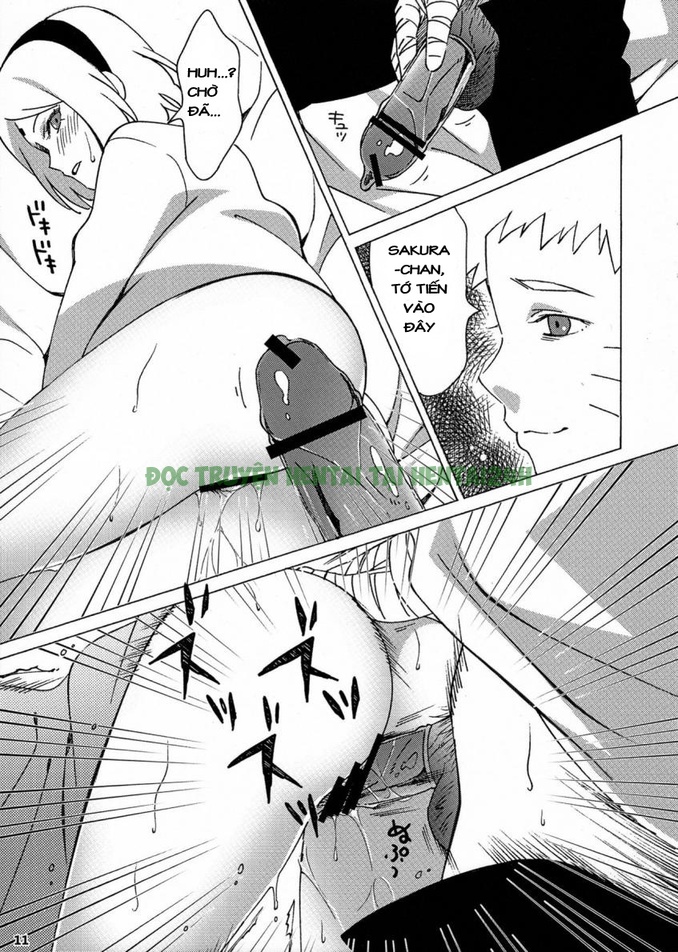 Xem ảnh 9 trong truyện hentai Thông Tin Bí Mật Naruto x Sakura - One Shot - truyenhentai18.pro