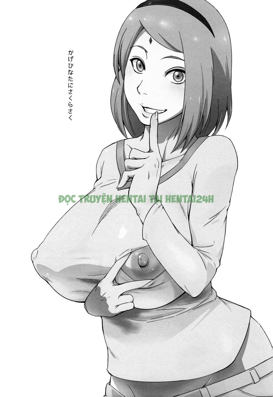 Xem ảnh 1 trong truyện hentai Hinata Và Sakura Bày Tỏ Lòng Hentai Dâm - One Shot - truyenhentai18.pro