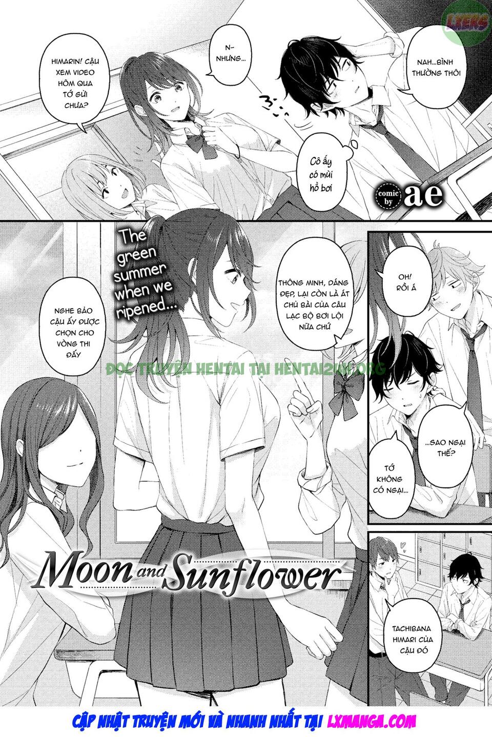 Xem ảnh 4 trong truyện hentai Moon And Sunflower - One Shot - truyenhentai18.pro